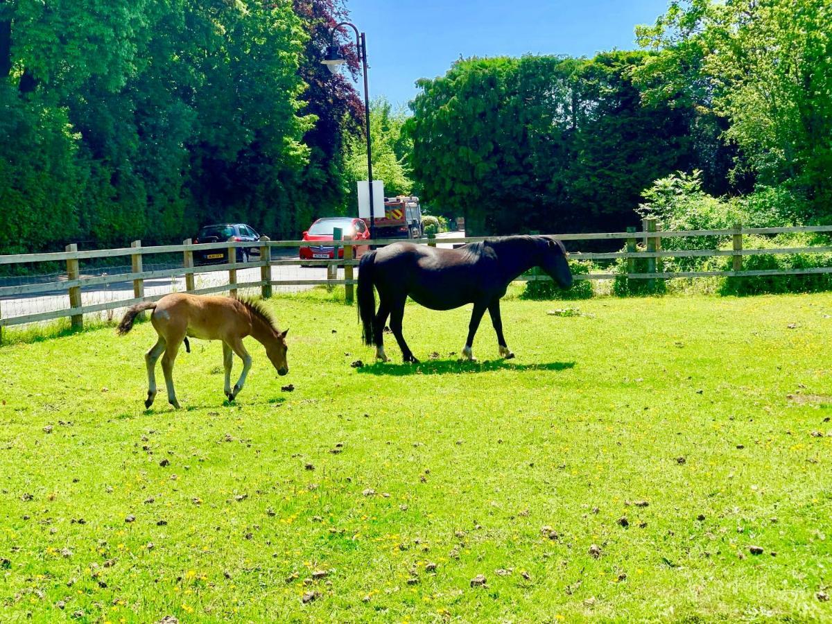 דירות ניו מילטון Forest & Beach Access Naish Park מראה חיצוני תמונה